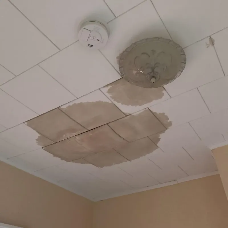 Ceiling Water Damage Repair in Leavenworth County, KS