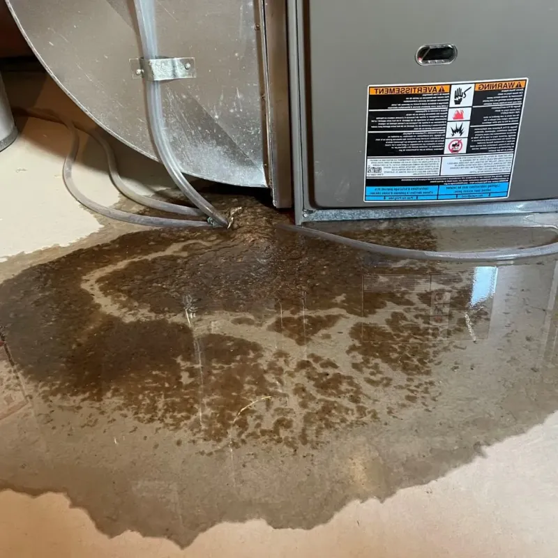 Pipe Burst and Leak Restoration in Leavenworth County, KS