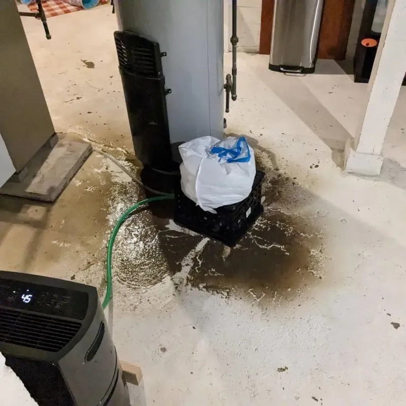 Sewage Backup Cleanup Service in Leavenworth County, KS